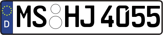 MS-HJ4055