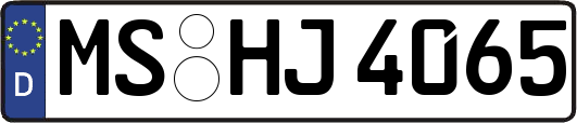 MS-HJ4065