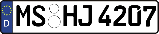 MS-HJ4207