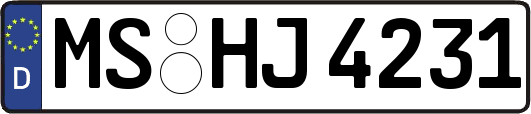 MS-HJ4231