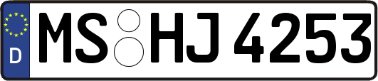 MS-HJ4253