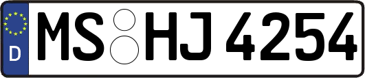 MS-HJ4254
