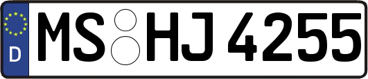 MS-HJ4255