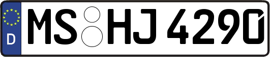MS-HJ4290