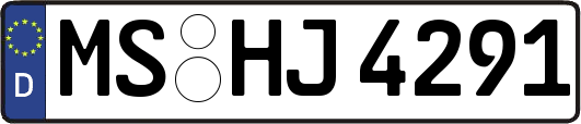 MS-HJ4291