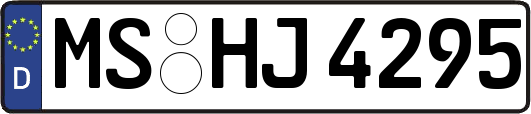 MS-HJ4295