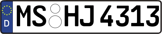 MS-HJ4313