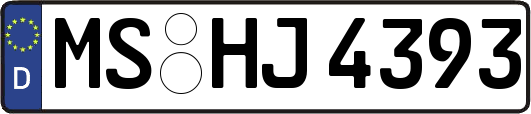 MS-HJ4393