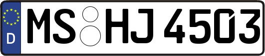 MS-HJ4503
