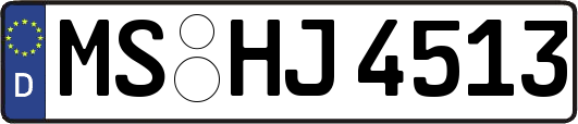 MS-HJ4513