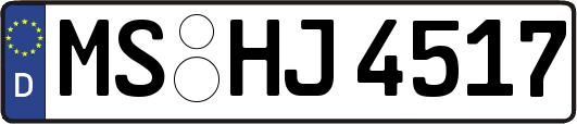 MS-HJ4517