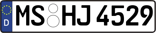 MS-HJ4529