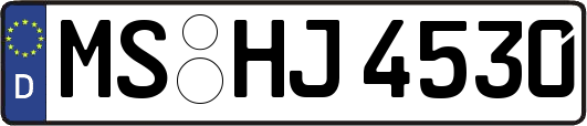 MS-HJ4530