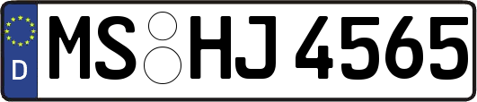 MS-HJ4565