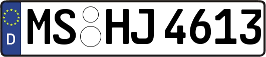 MS-HJ4613