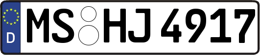 MS-HJ4917