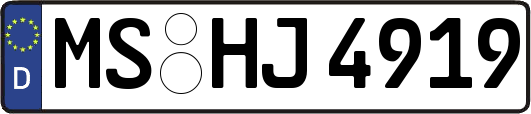 MS-HJ4919