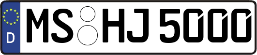 MS-HJ5000