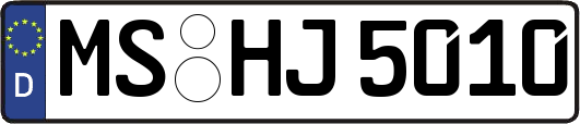 MS-HJ5010