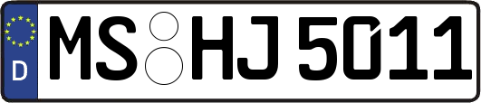 MS-HJ5011