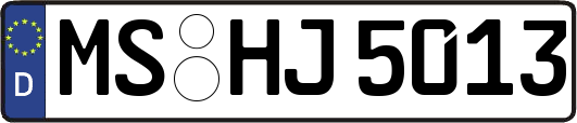 MS-HJ5013
