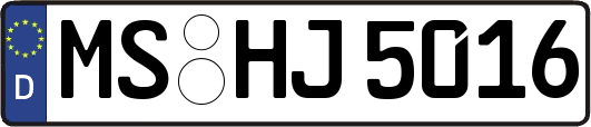 MS-HJ5016