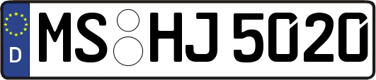 MS-HJ5020
