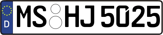 MS-HJ5025