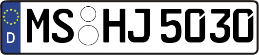 MS-HJ5030