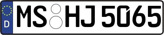MS-HJ5065