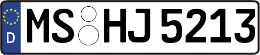 MS-HJ5213