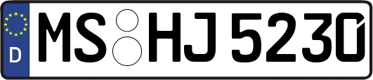 MS-HJ5230