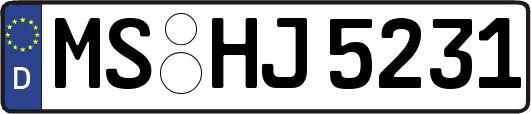 MS-HJ5231
