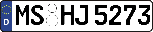 MS-HJ5273