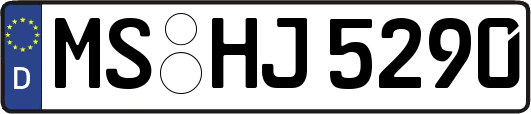 MS-HJ5290
