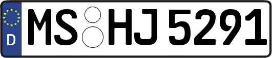 MS-HJ5291