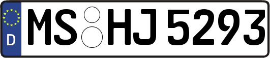 MS-HJ5293