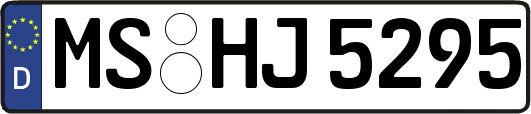 MS-HJ5295