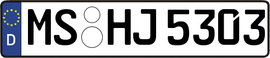 MS-HJ5303