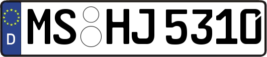MS-HJ5310
