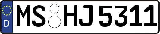 MS-HJ5311
