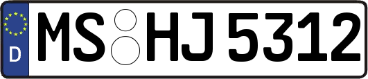 MS-HJ5312
