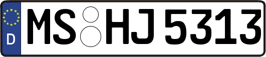 MS-HJ5313