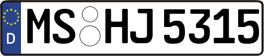MS-HJ5315