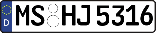 MS-HJ5316