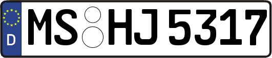 MS-HJ5317