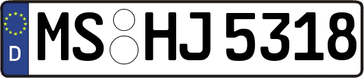 MS-HJ5318