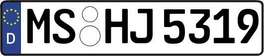 MS-HJ5319