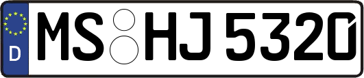 MS-HJ5320