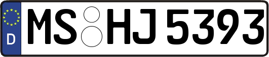 MS-HJ5393